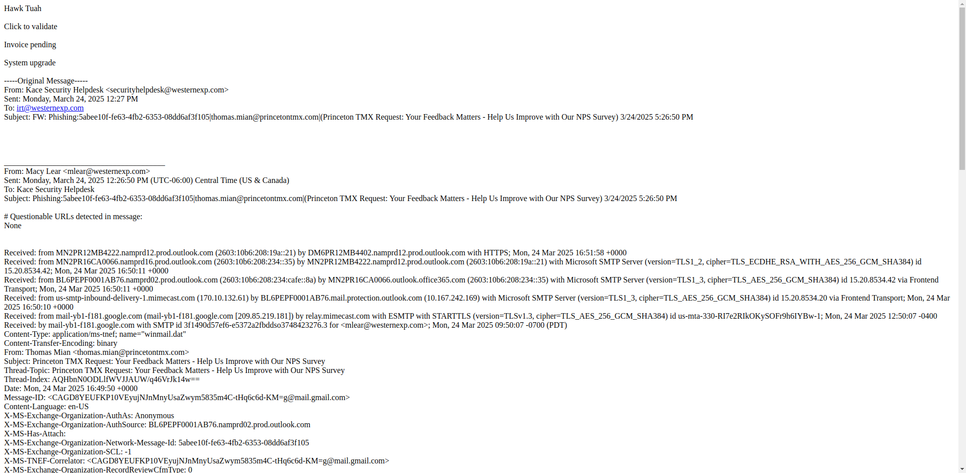 Email Render Screenshot