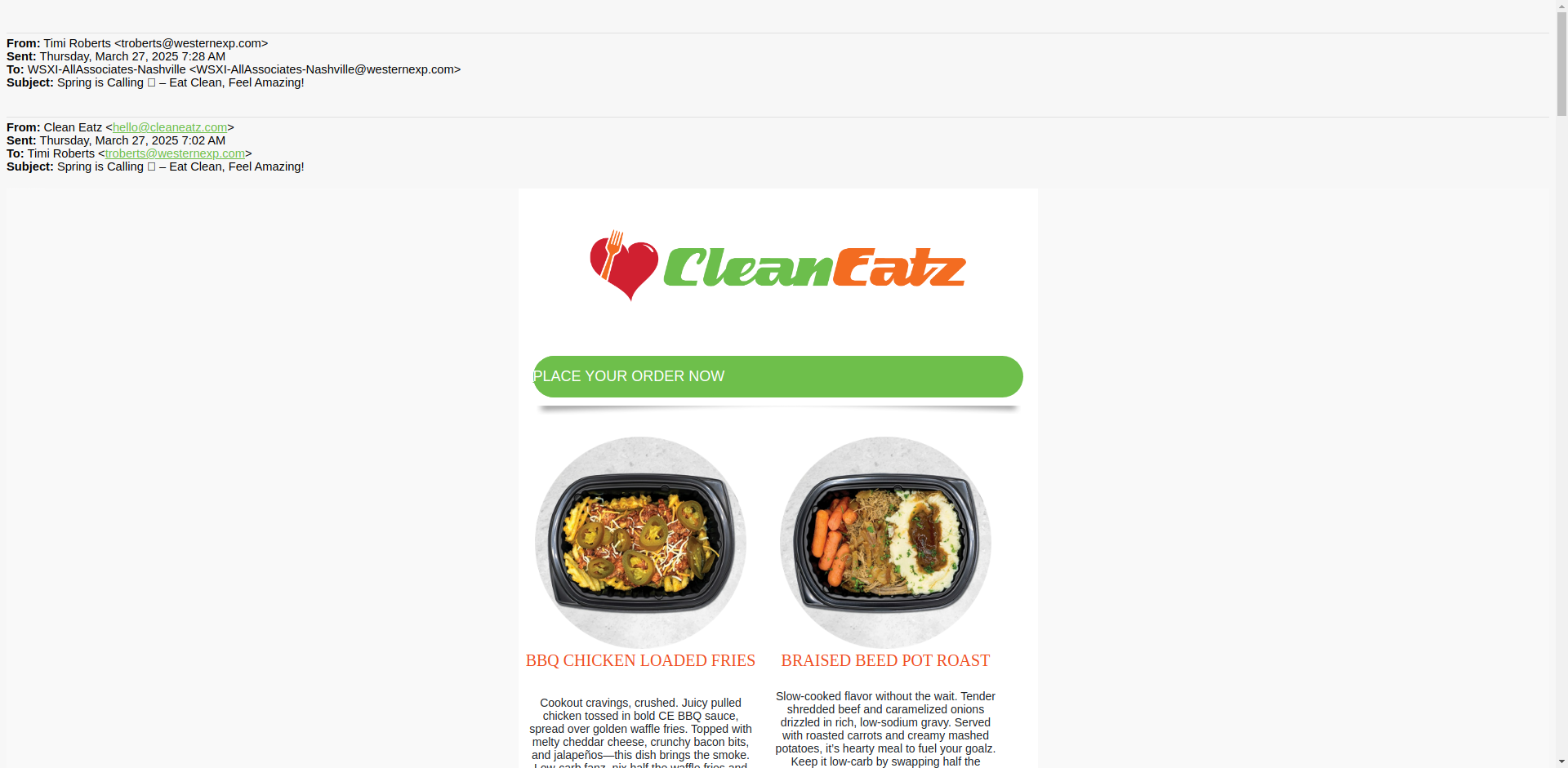 Email Render Screenshot